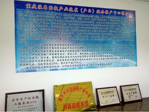重慶液晶面板產(chǎn)業(yè)技術推廣中心成立，助力技術與產(chǎn)品服務升級
